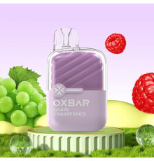 OXBAR mini 2200 ORIGINAL (Кислая малина черника)