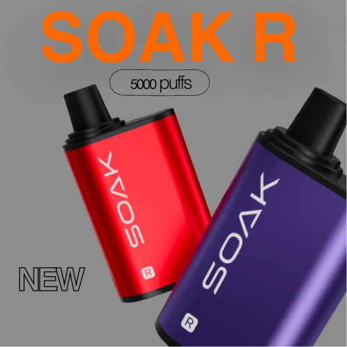 SOAK R 5000 ORIGINAL (Крыжовник)