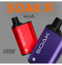 SOAK R 5000 ORIGINAL (Пряный персик с лаймом)