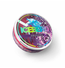 Iceberg Arasaka